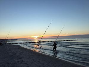 Brandungsangeln an der Ostsee. Angelspaß PUR!
Erholung am Bodden im Piratennest Darss mit Hund !
Seeblick vom Wassergrundstück der Familie Fitzka - Bild 16: Ostseeurlaub mit Hund - Wassergrundstück Piratennest Darß