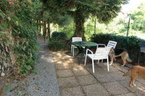 Bild 9: Kleine Hundehütte im schönen Odenwald: ab 33 € /Pers. Hunde kostenlos!!!