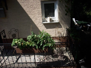 Bild 8: Kleine Hundehütte im schönen Odenwald: ab 33 € /Pers. Hunde kostenlos!!!