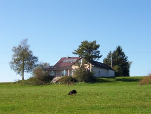 Bild: Landhaus Bodensee in Panormasichtlage Hunde willkommen, Wohnung 1