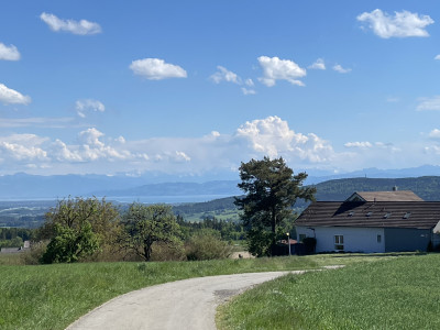 Bild: Landhaus Bodensee in Panormasichtlage Hunde willkommen, Wohnung 1