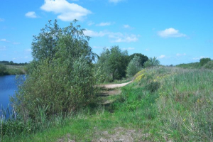 Bild 21: Ferienwohnung nähe Poseritz ohne Extrakosten für Ihren Hund