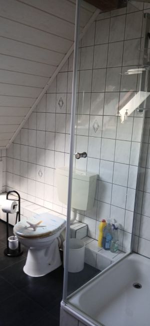 Bild 18: Ferienwohnung nähe Poseritz ohne Extrakosten für Ihren Hund