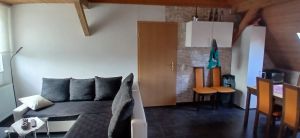 Bild 15: Ferienwohnung nähe Poseritz ohne Extrakosten für Ihren Hund
