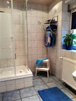 Bild 2: Ferienwohnung Waldschrat im Pfälzer Wald