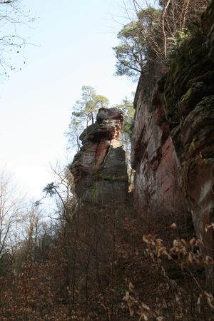 Bild 32: Ferienwohnung Waldschrat im Pfälzer Wald