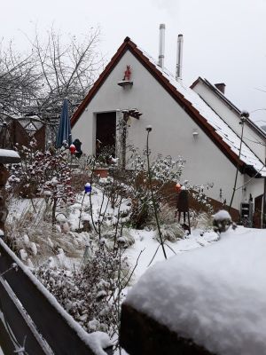 Bild 6: Ferienwohnung Waldschrat im Pfälzer Wald