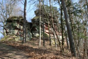 Bild 31: Ferienwohnung Waldschrat im Pfälzer Wald
