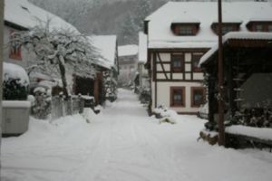 Schnee - Bild 34: Ferienwohnung Waldschrat im Pfälzer Wald