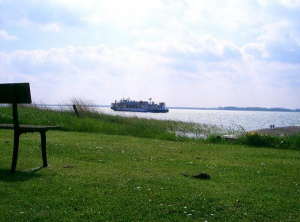 Wenn Sie einmal nichts unternehmen möchten, träumen Sie einfach vor sich hin und gehen ans Wasser.. Von Ihrer Ferienwohnung bis zum Bodden gehen Sie nur ca. 50m über eine grüne Wiese bis zur Üferkante. Dort steht eine Bank die zum Verweilen einlädt. Beobachten Sie die Vögel, die von weitem vorbeifahrenden Boote, lauschen Sie auf das Plätschern der Wellen und das Rauschen des Windes im Schilf oder wenn es Abend wird beobachten Sie wie die Wolken vorbeiziehen... Werfen Sie die Angel aus... - Bild 22: Erholung am Wasser - Ostseehalbinsel Darss mit Hund - Angeln