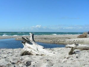 Der Westsstrand liegt auf der Ostsee Halbinsel Darss im Nationalpark Vorpommersche Boddenlandschaft. Der 13km lange Weststrand bietet besondere Reize für alle, die es urwüchsig mögen. Weg vom Strassenlärm, ist nur zu Fuss oder mit dem Rad durch den schönen Darsser Wald zu erreichen (ca. 4 km). Hier finden Sie eine unberührte Natur zu allen Jahreszeiten vor. Nach Stürmen kann man mit gutem Auge Bernsteine finden und lange Strandwanderungen unternehmen. Im Sommer herrscht ein frohes Badeleben. - Bild 17: Erholung am Wasser - Ostseehalbinsel Darss mit Hund - Angeln