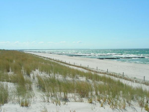 Ostseestrand... Sand, Sonne, Wind und Wellen - die Strände sind wundervoll - so lockt die Ostsee im Sommer. Kilometer langer Sandstrand lädt im Frühling, Herbst und Winter zu langen Spaziergängen ein, die Ruhe und die frische Seeluft sind Balsam für Körper und Seele. Geniesen Sie Natur. - Bild 18: Erholung am Wasser - Ostseehalbinsel Darss mit Hund - Angeln