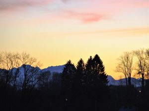 Bild 19: Cottage No. 8 ♥ Traum-Landhauswohnung im Grünen