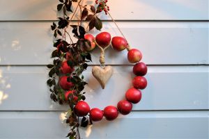 Bild 26: Cottage No. 8 ♥ Traum-Landhauswohnung im Grünen