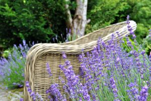 Bild 25: Cottage No. 8 ♥ Traum-Landhauswohnung im Grünen