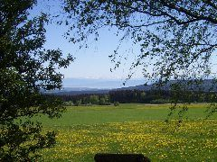Bild 2: Landhaus Bodensee in Panormasichtlage Hunde sind herzlich willkommen. WOHNUNG 2