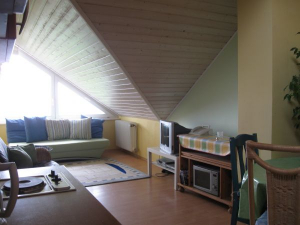 Bild 4: Landhaus Bodensee in Panormasichtlage Hunde sind herzlich willkommen. WOHNUNG 2