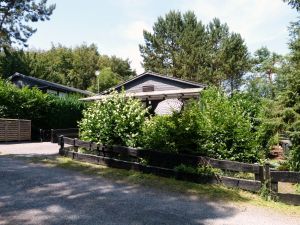 Sommer 2014. Die Veranda liegt hinter der Bepflanzung versteckt, trotzdem Sie Aussicht auf den Wald haben. - Bild 16: Eifel-Ferienhaus Fliegenpilz - für Ihren Urlaub mit und ohne Hund