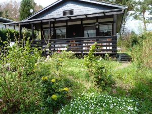 Waldblumen im Vorgarten des Ferienhauses im Mai - Bild 15: Eifel-Ferienhaus Fliegenpilz - für Ihren Urlaub mit und ohne Hund