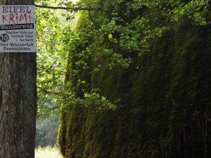 Für Krimifans ein Muss - ebenso das Kriminalmuseum und das Café Sherlock in Hillesheim. - Bild 22: Eifel-Ferienhaus Fliegenpilz - für Ihren Urlaub mit und ohne Hund