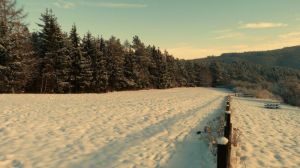 Herrliche Winterspaziergänge im Schnee in unmittelbarer Nähe des Ferienhauses. - Bild 27: Eifel-Ferienhaus Fliegenpilz - für Ihren Urlaub mit und ohne Hund