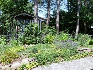 Vom Schlafzimmer 1 aus gelangen Sie auf die Terrasse hinter dem Haus. - Bild 5: Eifel-Ferienhaus Fliegenpilz - für Ihren Urlaub mit und ohne Hund