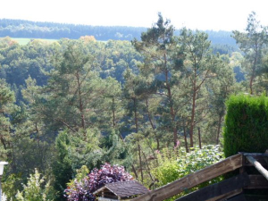 Dieses Foto spricht für sich selbst und benötigt keine weitere Erklärung. - Bild 19: Eifel-Ferienhaus Fliegenpilz - für Ihren Urlaub mit und ohne Hund
