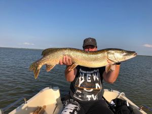 Angelglück - Hecht 104 cm, 6.4 Kg - Bild 13: Darssurlaub - Wassergrundstück mit Hund - eingezäunter Terrasse, Angeln