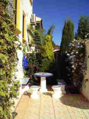 Gartenecke mit Steinbank und mediterranen Pflanzen - Bild 2: Ferienhaus im andalusischen Stil von privat an der Costa Blanca in Spanien