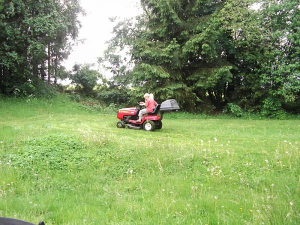 Bildergalerie von Appartement Nr. 7 in der Zigeunermühle in