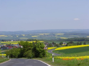 Bild 5: Reit- und Ferienanlage Pyrmonter Hof - Erholung pur in der Eifel