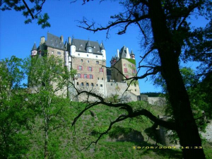 Bild 6: Reit- und Ferienanlage Pyrmonter Hof - Erholung pur in der Eifel