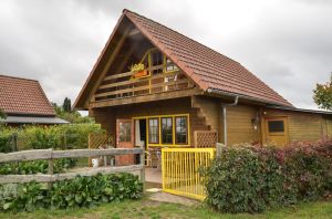 Bild 2: Reit- und Ferienanlage Pyrmonter Hof - Erholung pur in der Eifel