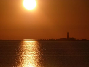 Bild 16: Böhrs Hoff Fehmarn Ferienwohnung im Landhausstil ideal für Hundebesitzer