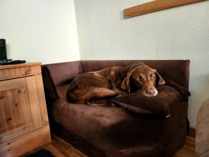 Bild 7: Schöne Ferienwohnung im Naturpark Oberpfälzer Wald! Gerne mit Hund(en)!