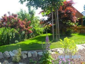 Bild 8: Schöne Ferienwohnung im Naturpark Oberpfälzer Wald! Gerne mit Hund(en)!