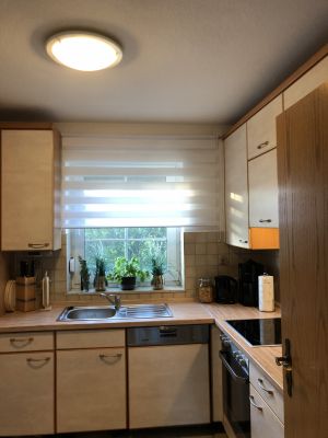 Bild 7: Ferienhaus Porten Nordsee- Küste, eingezäunter Garten, Urlaub mit Hunden