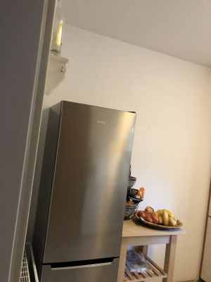 Bild 8: Ferienhaus Porten Nordsee- Küste, eingezäunter Garten, Urlaub mit Hunden