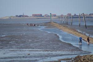 Bild 19: Ferienhaus Porten Nordsee- Küste, eingezäunter Garten, Urlaub mit Hunden