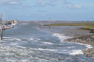 Bild 18: Ferienhaus Porten Nordsee- Küste, eingezäunter Garten, Urlaub mit Hunden