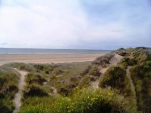 Bild 26: Les Salines, mit Hund am Strand, in den Dünen Lindbergh-Plage