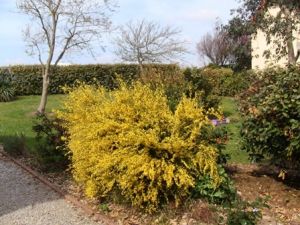Bild 4: Les Salines, mit Hund am Strand, in den Dünen Lindbergh-Plage