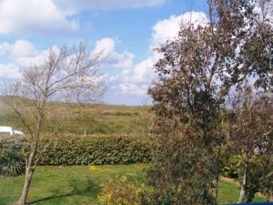 Bild 5: Les Salines, mit Hund am Strand, in den Dünen Lindbergh-Plage