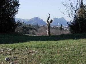 Bild 37: Ferienhaus in Südfrankreich Provence mit Pool bei St. Remy de Provence