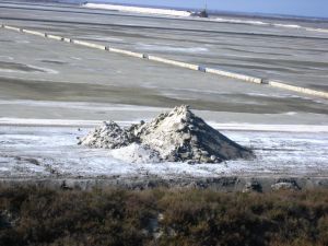 Bild 35: Ferienhaus in Südfrankreich Provence mit Pool bei St. Remy de Provence