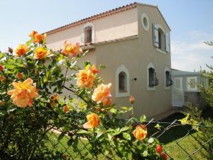 Bild 1: Ferienhaus in Südfrankreich Provence mit Pool bei St. Remy de Provence