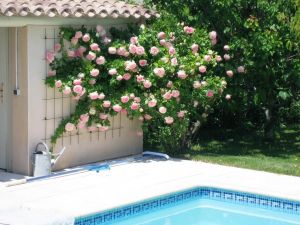 Bild 13: Ferienhaus in Südfrankreich Provence mit Pool bei St. Remy de Provence