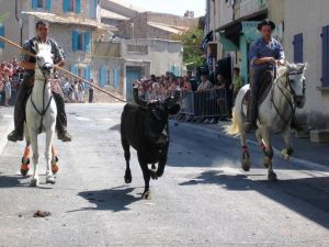 Bild 31: Ferienhaus in Südfrankreich Provence mit Pool bei St. Remy de Provence
