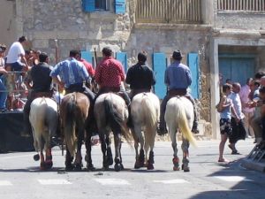 Bild 30: Ferienhaus in Südfrankreich Provence mit Pool bei St. Remy de Provence