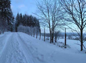 vor dem Haus beginnen die Ski und Wanderwege - Bild 13: Ferienhaus Familie Ziller Crottendorf Erzgebirge